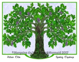 Magickal Oak Tree Spring Fine Art Print